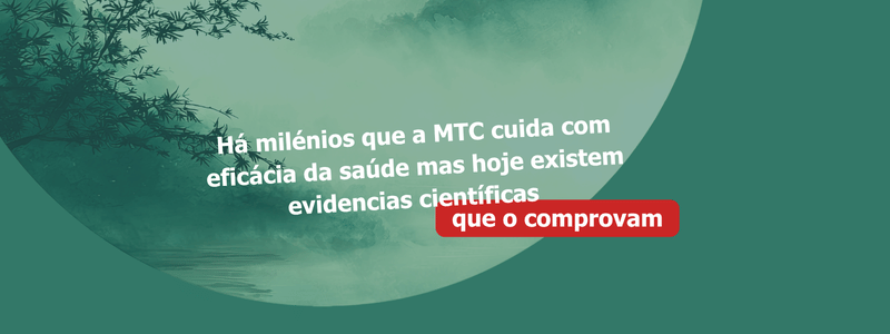 Mês de Fevereiro – Transição e Preparação